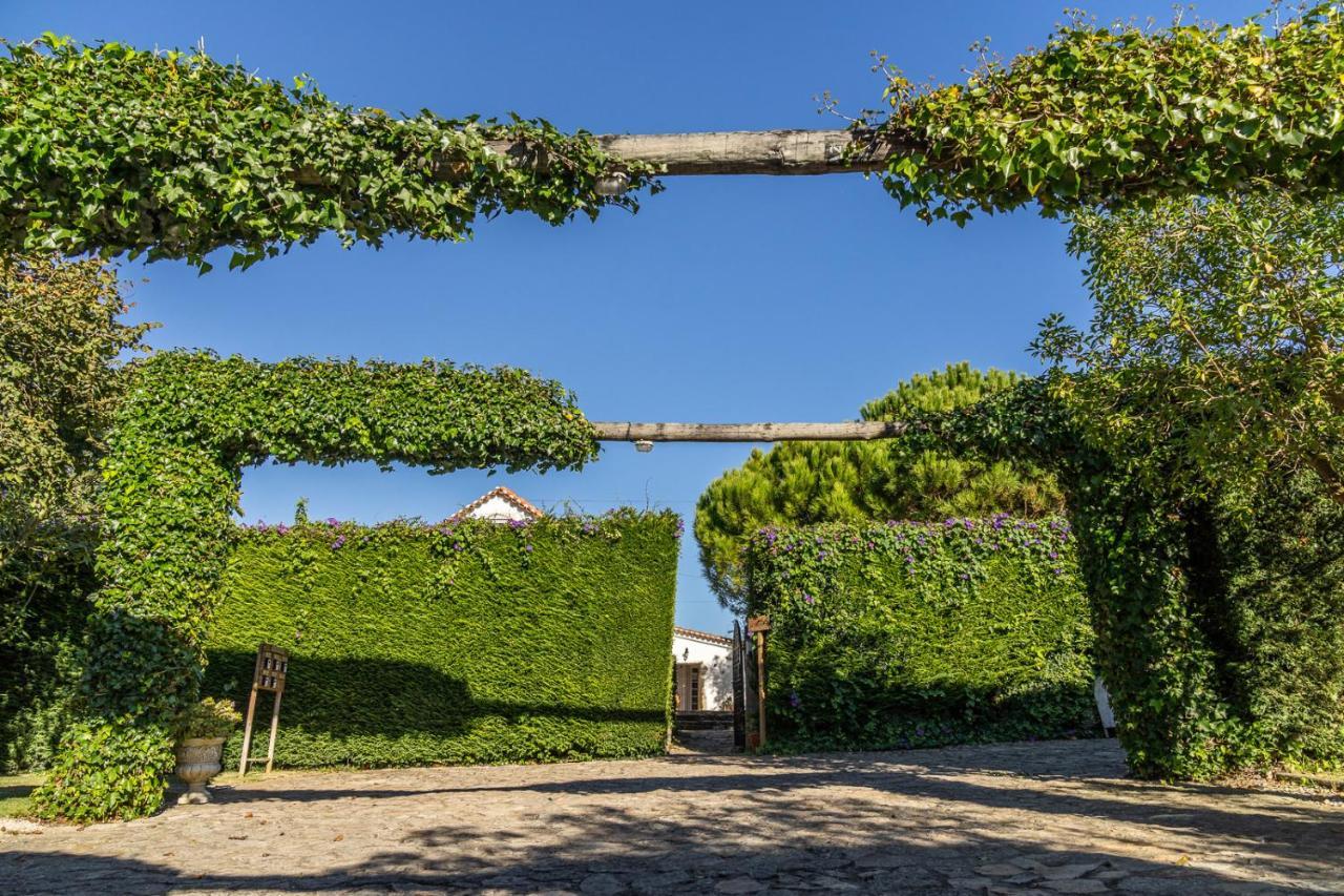 Country Village Senses Reguengo Grande Exteriör bild